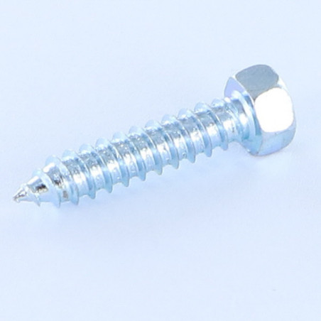 1 x Thread Rolling Screw Hexagonal Head 4.8X9.5 Zinc Plated