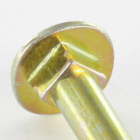 1 x Wood Screws Carriage Bolt 6X50 Hexagon Recess 4 Zinc Plated