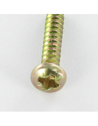 1 x Thread Rolling Screw wide domed head Pozi...