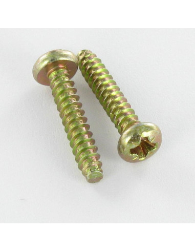 1 x Thread Rolling Screw wide domed head Pozi...