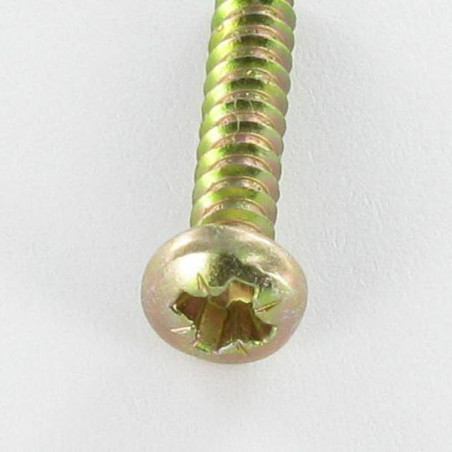 1 x Thread Rolling Screw Large Pan Head Pozi 2.9X9.5 Yellow Zinc Without Point