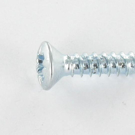 1 x THREAD ROLLING SCREW PAN COUNTERSUNK HEAD POZI 4.2X19 ZINC PLATED