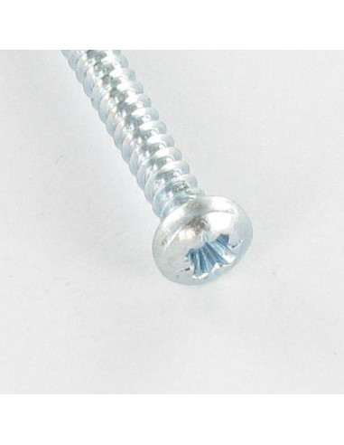 1 x Thread Rolling Screw wide domed head Pozi...