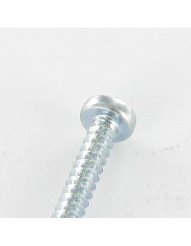 1 x Thread Rolling Screw wide domed head Pozi...