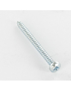 THREAD ROLLING SCREW LARGE PAN HEAD POZI 5.5X30 ZINC PLATED