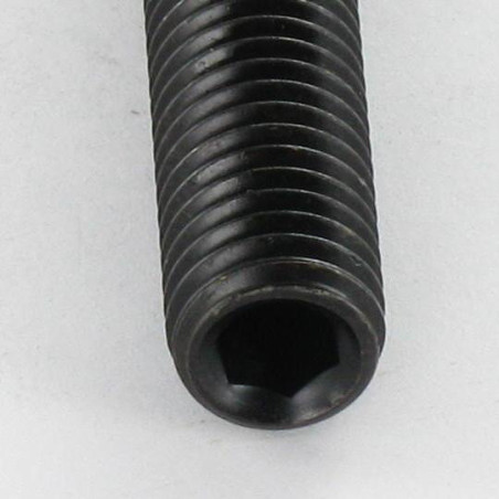 1 x Machine Screw Socket Head Hexagon Recess Hexagon Socket 3 M6X55 Flat Point Steel