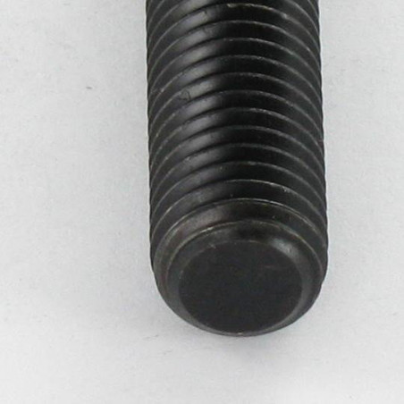 1 x Machine Screw Socket Head Hexagon Recess Hexagon Socket 3 M6X5 Flat Point Steel