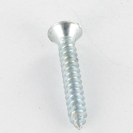 1 x THREAD ROLLING SCREW PAN COUNTERSUNK HEAD SLOTTED 4.8X25 ZINC PLATED