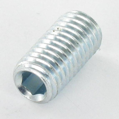 1 x Machine Screw Socket Head Hexagon Recess Hexagon Socket 6 M12X35 Flat Point Zinc Plated