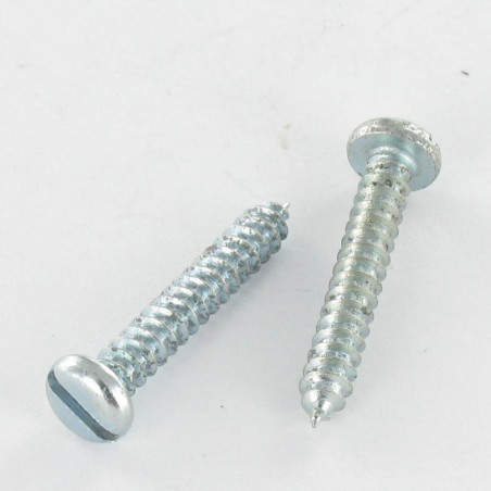 1 x THREAD ROLLING SCREW PAN HEAD SLOTTED 3.9X13 ZINC PLATED