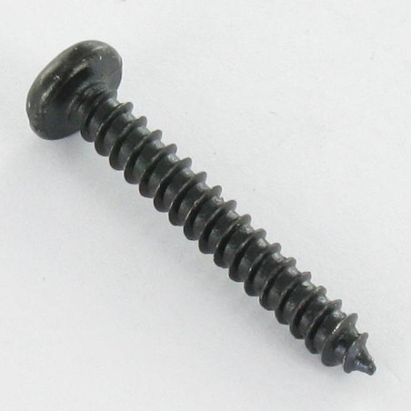 1 x THREAD ROLLING SCREW PAN HEAD SLOTTED 3.5X25 BLACK ZINC PLATED