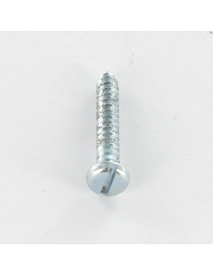 THREAD ROLLING SCREW PAN HEAD SLOTTED 4.8X25 ZINC PLATED 2