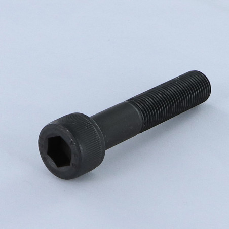 1 x Machine Screw Socket Head M20X120 Thread Length: 52 Class 12.9 Pitch 150 Hexagon Socket 17 Steel