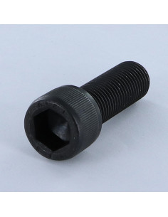 Machine Screw Socket Head M14X40 Full Thread Class 12.9...