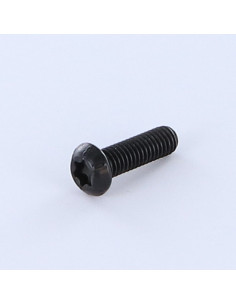 Machine Screw Pan Head T30 M6X30 8.8ZNN480HBSSRR
