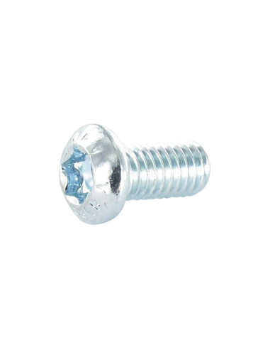 1 x Machine Screw Pan Head T30 M6X12 Class 8.8...