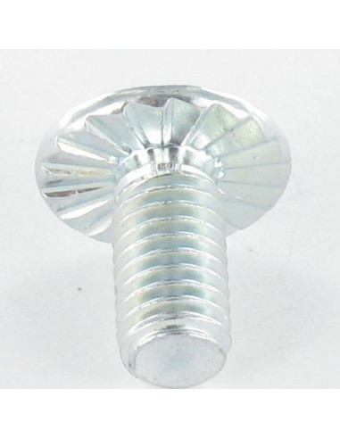 1 x Screw Mushroom Pozi And Slotted M6X12 With...