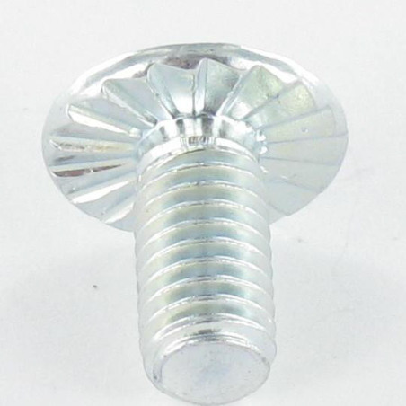 1 x Screw Mushroom Pozi And Slotted M6X12 With Serration Zinc Plated