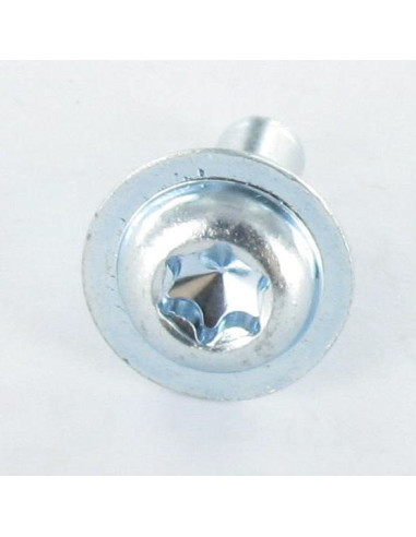 1 x Machine Screw Large Round Head T30 M6X16...
