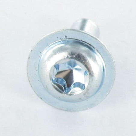 1 x Machine Screw Large Round Head T30 M6X12 Class 10.9 Zinc Plated