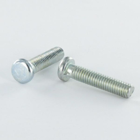 1 x Machine Screw Pan Head Not Slotted M6X28 1 Ergot Zinc Plated