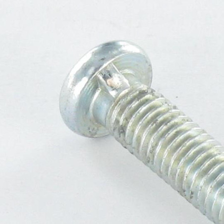 1 x Machine Screw Pan Head Not Slotted M6X28 1 Ergot Zinc Plated