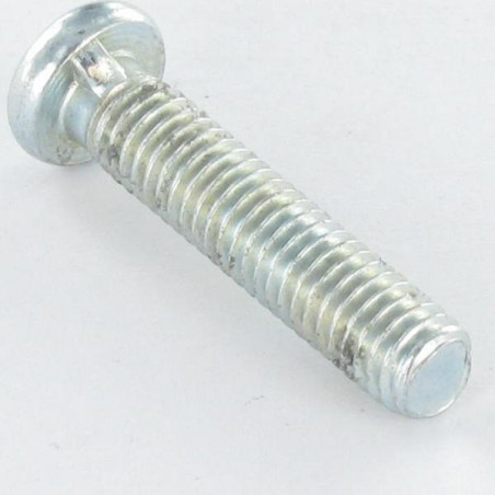 1 x Machine Screw Pan Head Not Slotted M6X28 1 Ergot Zinc Plated