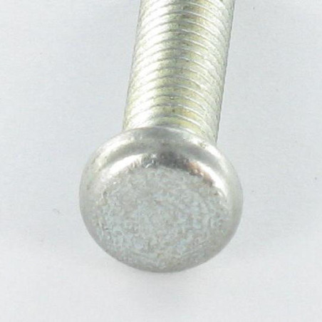 1 x Machine Screw Pan Head Not Slotted M6X28 1 Ergot Zinc Plated