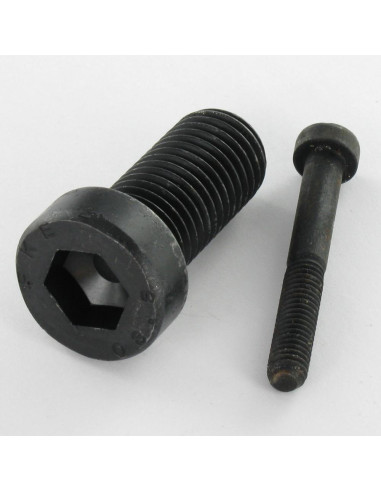 1 x Machine Screw Socket Head Thin Head M6X30...