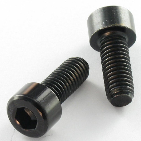 1 x Machine Screw Socket Head M12X170 Thread Length: 36 Class 10.9 Hexagon Socket 10 For
