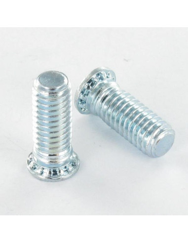 1 x Rivet Screw 6X16 Head Diameter: 8.2 Class...