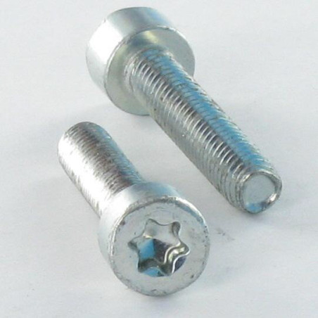 1 x Self Tapping Screw Pan Head M6X50 T30 Zinc Plated