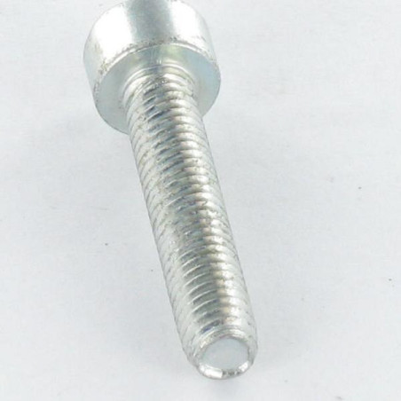 1 x Self Tapping Screw Pan Head M6X50 T30 Zinc Plated