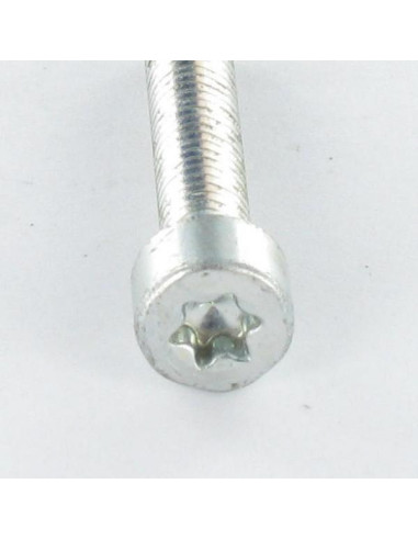 1 x Self Tapping Screw Pan Head 6X25 T30 Zinc...