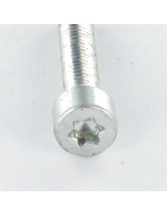 Self Tapping Screw Pan Head 5X25 T25 Zinc Plated 2