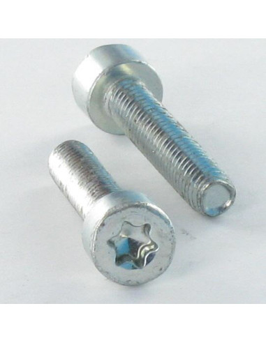1 x Self Tapping Screw Pan Head 5X10 T25 Zinc...