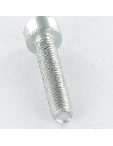 1 x Self Tapping Screw Pan Head M4X20 T20 Zinc...
