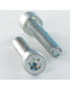 Self Tapping Screw Pan Head 4X12 T20 Zinc Plated