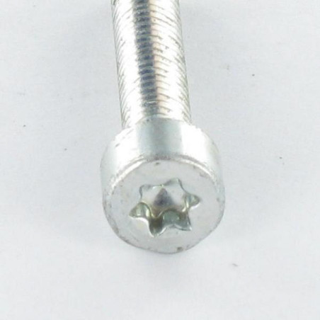 1 x Self Tapping Screw Pan Head M4X10 T20 Zinc Plated