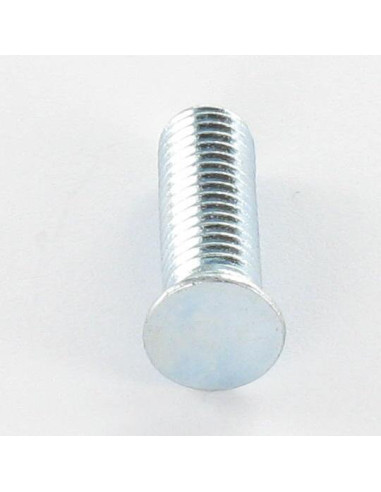 1 x Screw Rivet M6X20 Class 6.8 Zinc Plated