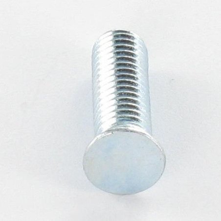 1 x Screw Rivet M6X16 Zinc Plated