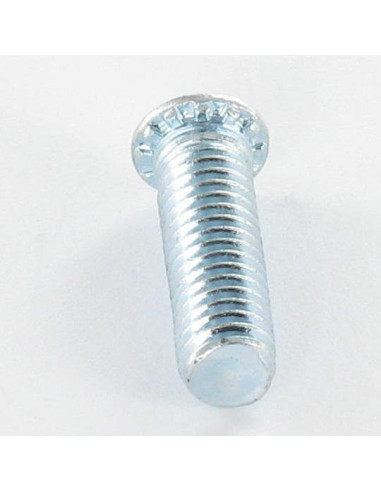 1 x Screw Rivet M5X20 Zinc Plated