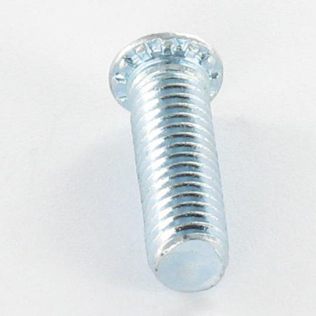 1 x Screw Rivet M5X20 Zinc Plated