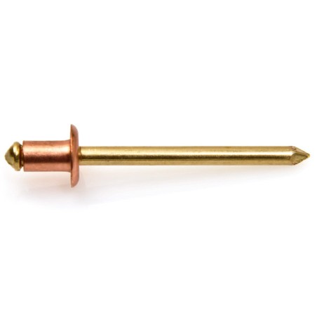 Rivet Cover / Brass TRS